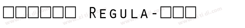 标小智无界黑 Regula字体转换